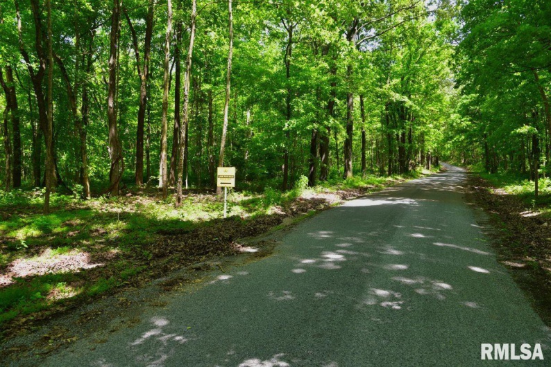 002 Robinson Hill Road, Stonefort, Illinois 62987, 0 , 0 ,0,Land,For Sale,Robinson Hill,0,RMACA1036797