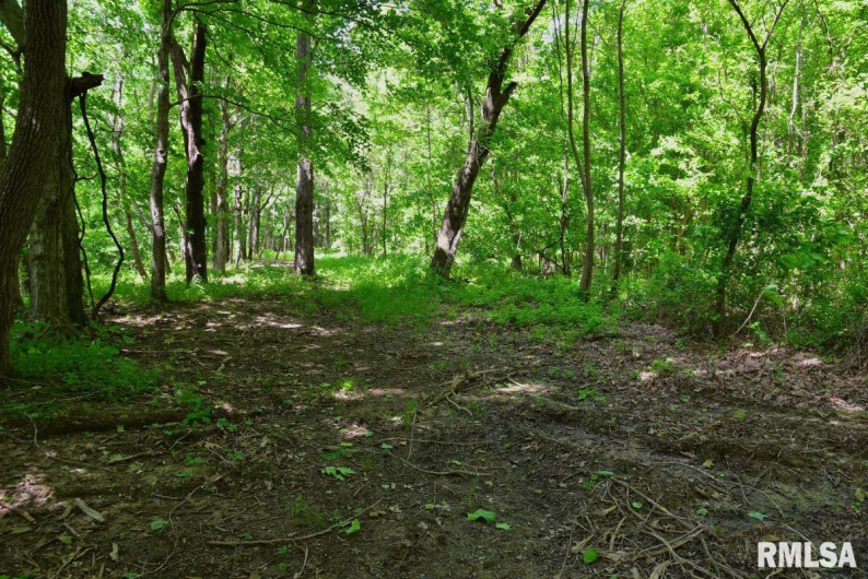 002 Robinson Hill Road, Stonefort, Illinois 62987, 0 , 0 ,0,Land,For Sale,Robinson Hill,0,RMACA1036797
