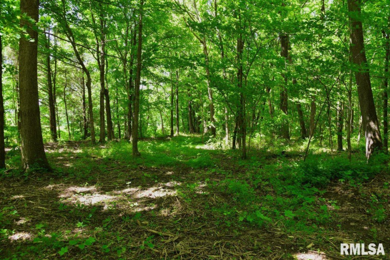 002 Robinson Hill Road, Stonefort, Illinois 62987, 0 , 0 ,0,Land,For Sale,Robinson Hill,0,RMACA1036797