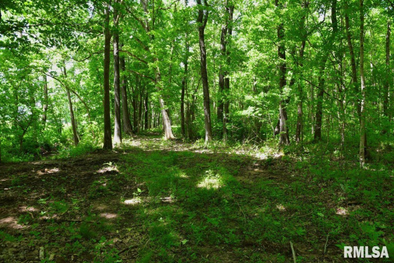 002 Robinson Hill Road, Stonefort, Illinois 62987, 0 , 0 ,0,Land,For Sale,Robinson Hill,0,RMACA1036797