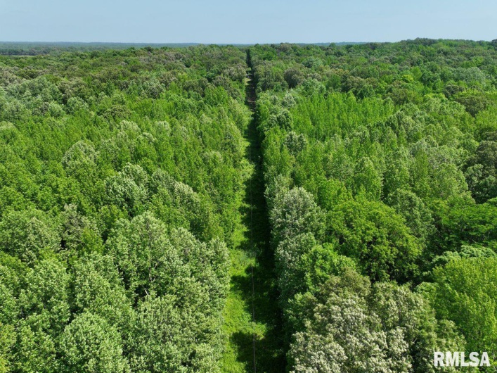 002 Robinson Hill Road, Stonefort, Illinois 62987, 0 , 0 ,0,Land,For Sale,Robinson Hill,0,RMACA1036797