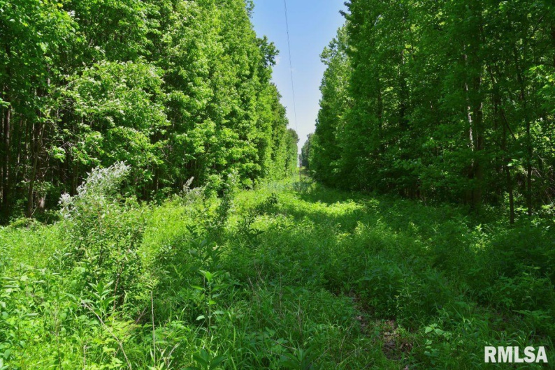 002 Robinson Hill Road, Stonefort, Illinois 62987, 0 , 0 ,0,Land,For Sale,Robinson Hill,0,RMACA1036797