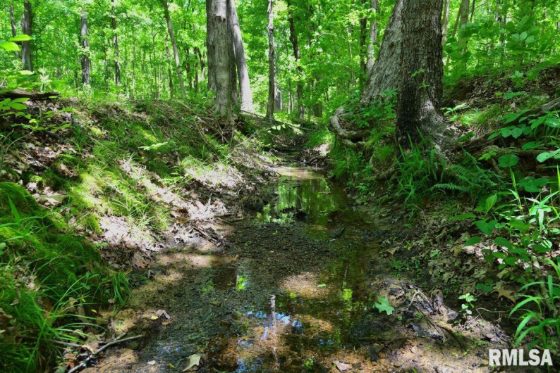 000 Battleford Road, Stonefort, Illinois 62987, 0 , 0 ,0,Land,For Sale,Battleford,0,RMACA1036798