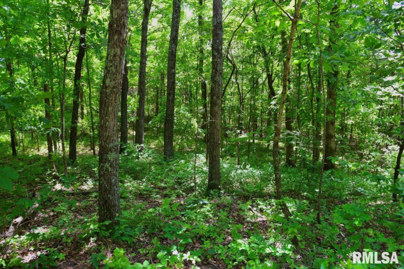 000 Battleford Road, Stonefort, Illinois 62987, 0 , 0 ,0,Land,For Sale,Battleford,0,RMACA1036798