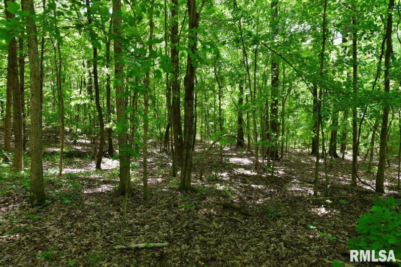 000 Battleford Road, Stonefort, Illinois 62987, 0 , 0 ,0,Land,For Sale,Battleford,0,RMACA1036798
