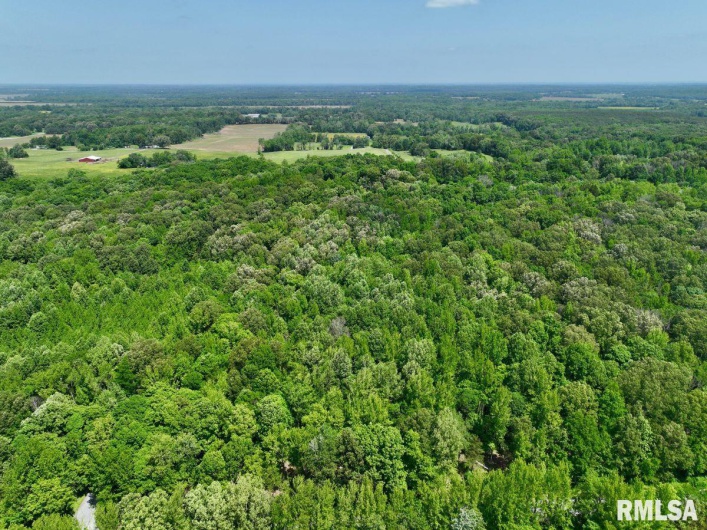000 Battleford Road, Stonefort, Illinois 62987, 0 , 0 ,0,Land,For Sale,Battleford,0,RMACA1036798
