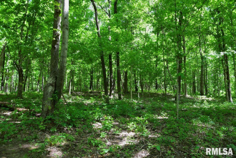 000 Battleford Road, Stonefort, Illinois 62987, 0 , 0 ,0,Land,For Sale,Battleford,0,RMACA1036798