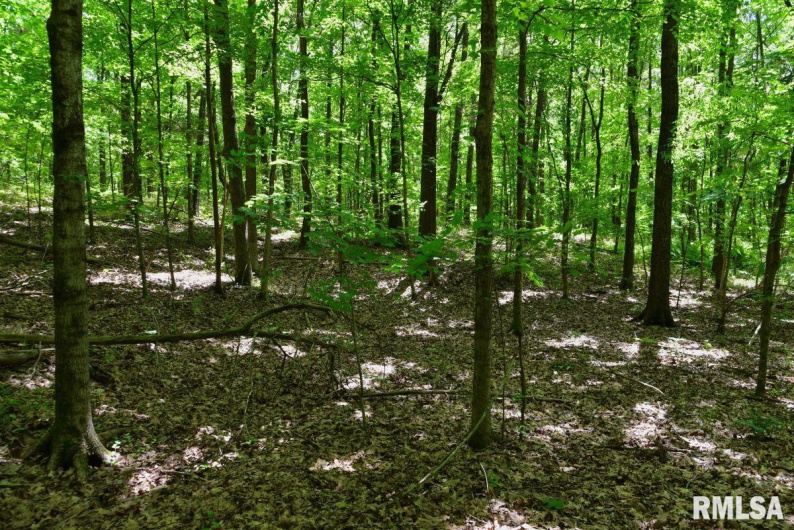 000 Battleford Road, Stonefort, Illinois 62987, 0 , 0 ,0,Land,For Sale,Battleford,0,RMACA1036798