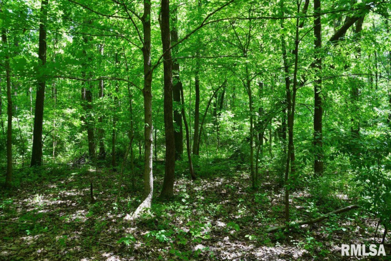 000 Battleford Road, Stonefort, Illinois 62987, 0 , 0 ,0,Land,For Sale,Battleford,0,RMACA1036798