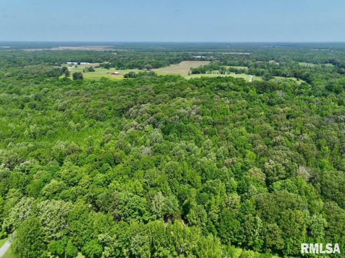 000 Battleford Road, Stonefort, Illinois 62987, 0 , 0 ,0,Land,For Sale,Battleford,0,RMACA1036798