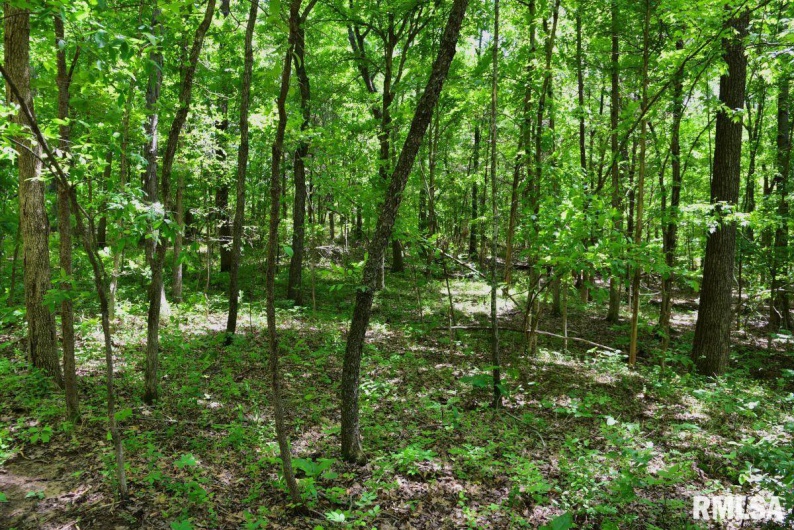 000 Battleford Road, Stonefort, Illinois 62987, 0 , 0 ,0,Land,For Sale,Battleford,0,RMACA1036798