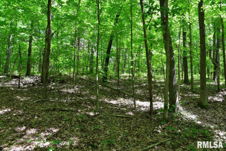 000 Battleford Road, Stonefort, Illinois 62987, 0 , 0 ,0,Land,For Sale,Battleford,0,RMACA1036798