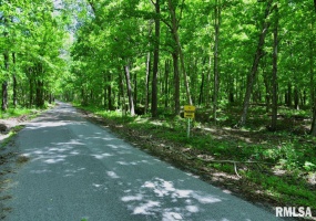 000 Battleford Road, Stonefort, Illinois 62987, ,Land,For Sale,Battleford,RMACA1036798