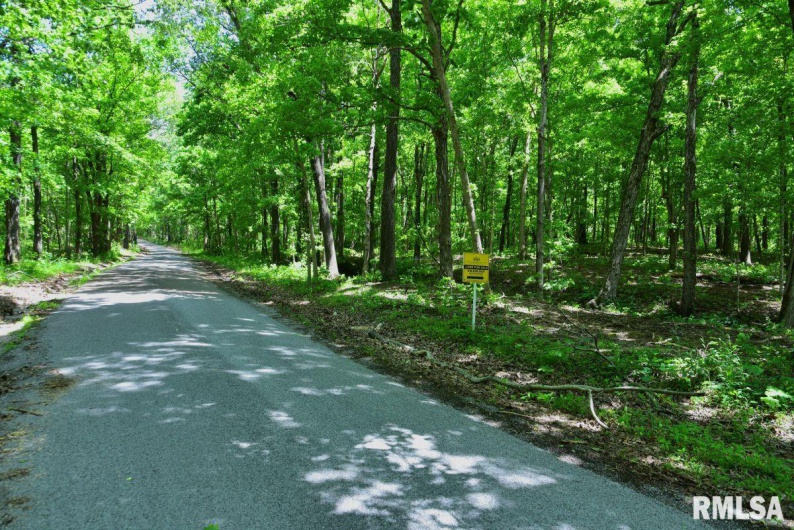 000 Battleford Road, Stonefort, Illinois 62987, 0 , 0 ,0,Land,For Sale,Battleford,0,RMACA1036798