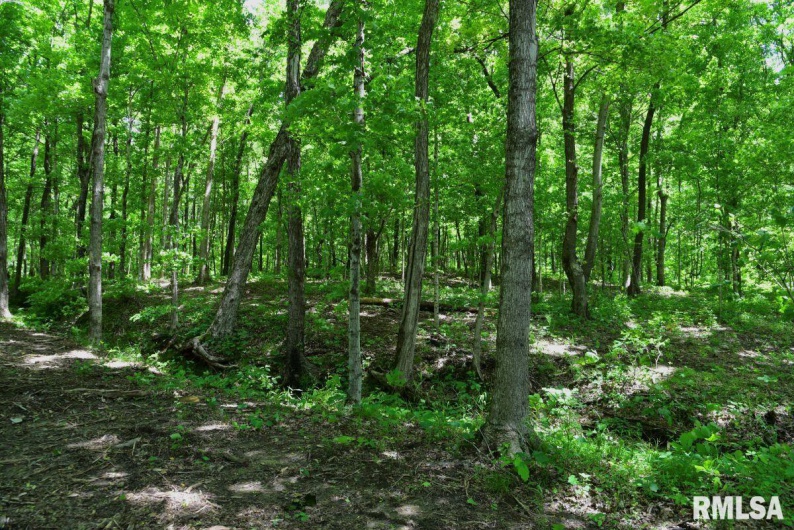000 Battleford Road, Stonefort, Illinois 62987, 0 , 0 ,0,Land,For Sale,Battleford,0,RMACA1036798