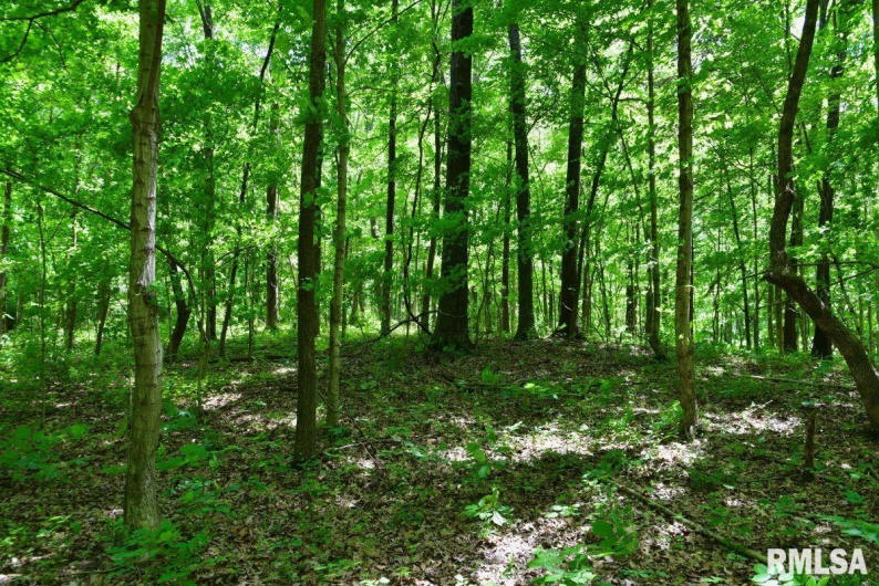000 Battleford Road, Stonefort, Illinois 62987, 0 , 0 ,0,Land,For Sale,Battleford,0,RMACA1036798