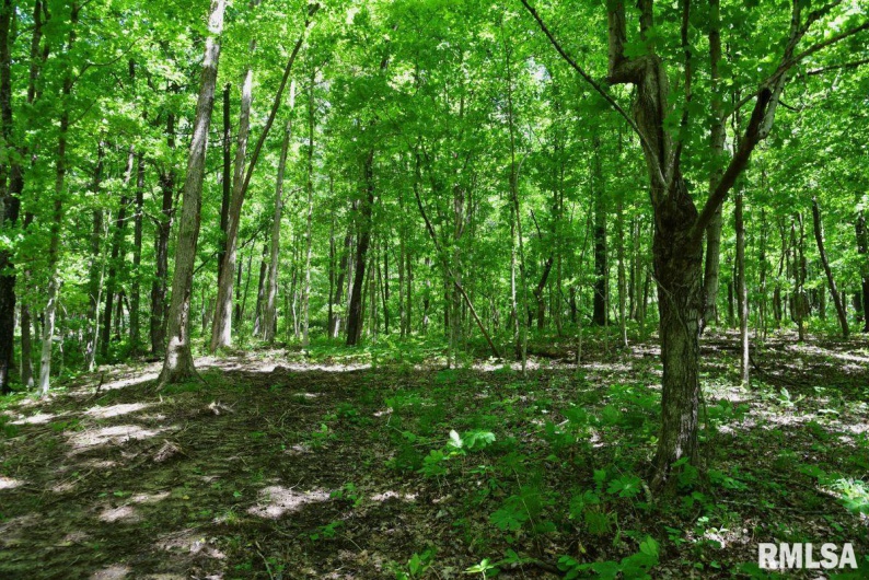 000 Battleford Road, Stonefort, Illinois 62987, 0 , 0 ,0,Land,For Sale,Battleford,0,RMACA1036798