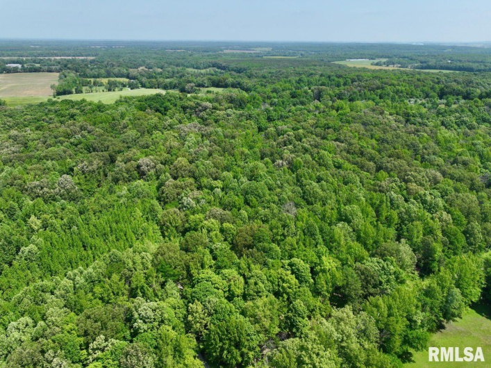 000 Battleford Road, Stonefort, Illinois 62987, 0 , 0 ,0,Land,For Sale,Battleford,0,RMACA1036798