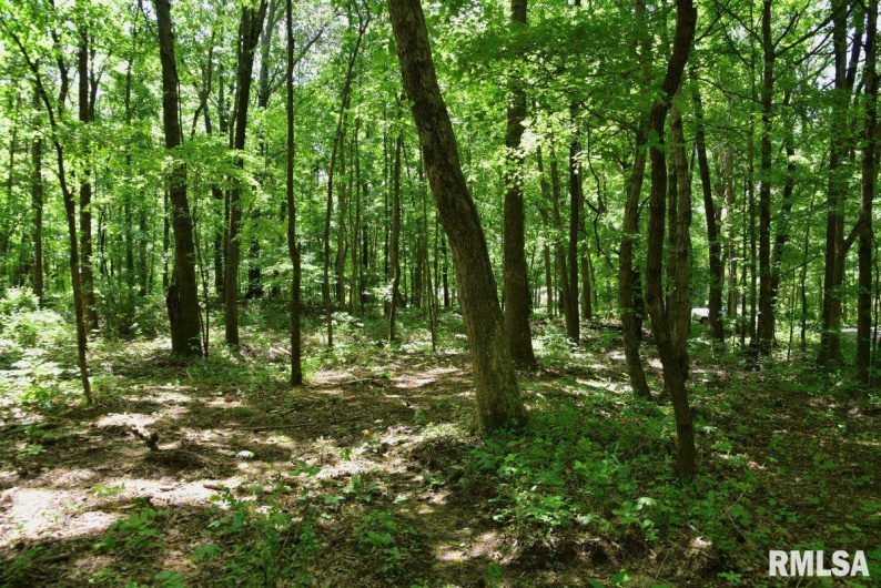 000 Battleford Road, Stonefort, Illinois 62987, 0 , 0 ,0,Land,For Sale,Battleford,0,RMACA1036798