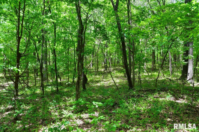 001 Battleford Road, Stonefort, Illinois 62987, 0 , 0 ,0,Land,For Sale,Battleford,0,RMACA1036799