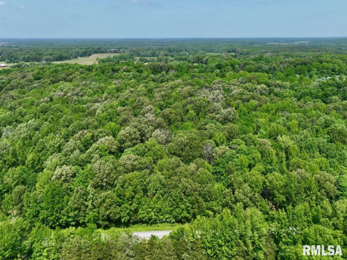 001 Battleford Road, Stonefort, Illinois 62987, 0 , 0 ,0,Land,For Sale,Battleford,0,RMACA1036799