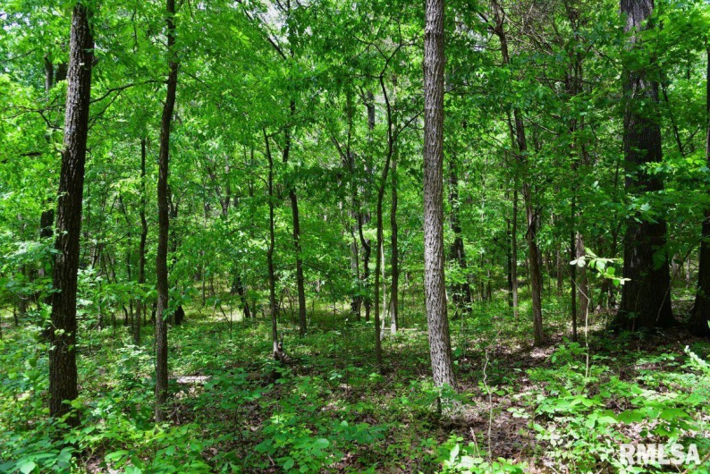 001 Battleford Road, Stonefort, Illinois 62987, 0 , 0 ,0,Land,For Sale,Battleford,0,RMACA1036799