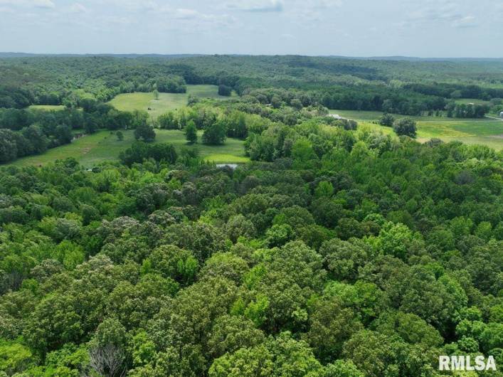 001 Battleford Road, Stonefort, Illinois 62987, 0 , 0 ,0,Land,For Sale,Battleford,0,RMACA1036799