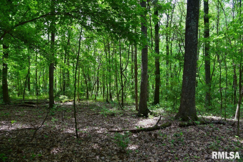 001 Battleford Road, Stonefort, Illinois 62987, 0 , 0 ,0,Land,For Sale,Battleford,0,RMACA1036799