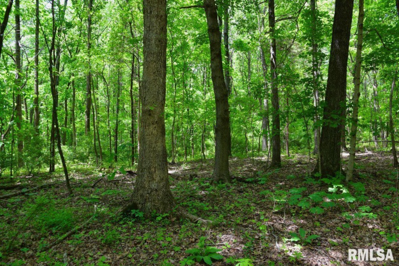 001 Battleford Road, Stonefort, Illinois 62987, 0 , 0 ,0,Land,For Sale,Battleford,0,RMACA1036799