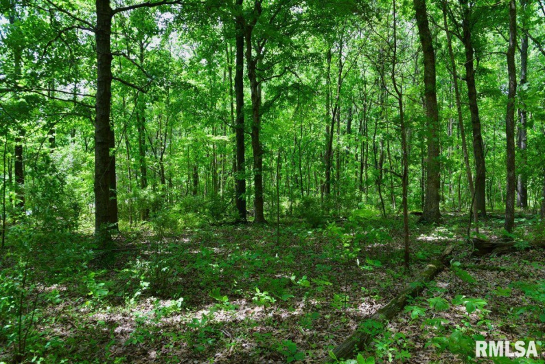 001 Battleford Road, Stonefort, Illinois 62987, 0 , 0 ,0,Land,For Sale,Battleford,0,RMACA1036799