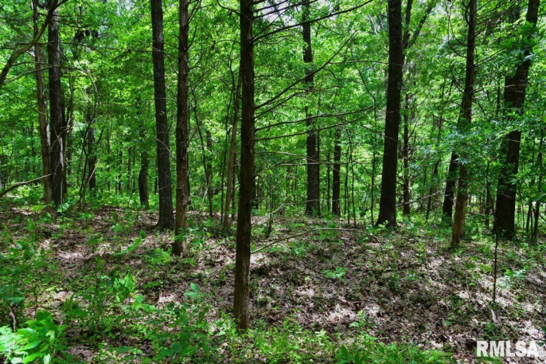 001 Battleford Road, Stonefort, Illinois 62987, 0 , 0 ,0,Land,For Sale,Battleford,0,RMACA1036799