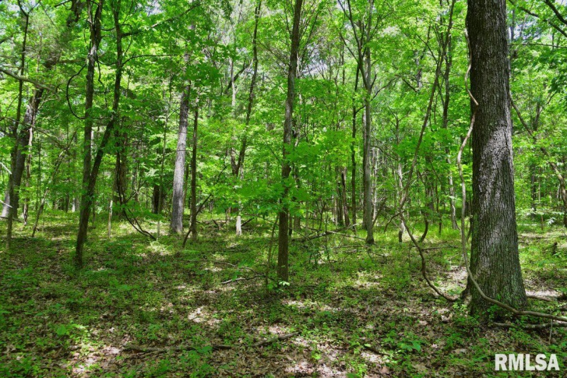001 Battleford Road, Stonefort, Illinois 62987, 0 , 0 ,0,Land,For Sale,Battleford,0,RMACA1036799