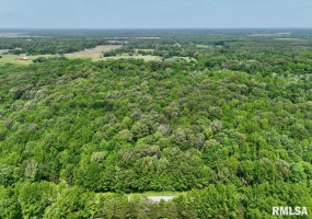 001 Battleford Road, Stonefort, Illinois 62987, ,Land,For Sale,Battleford,RMACA1036799