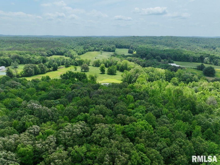 001 Battleford Road, Stonefort, Illinois 62987, 0 , 0 ,0,Land,For Sale,Battleford,0,RMACA1036799