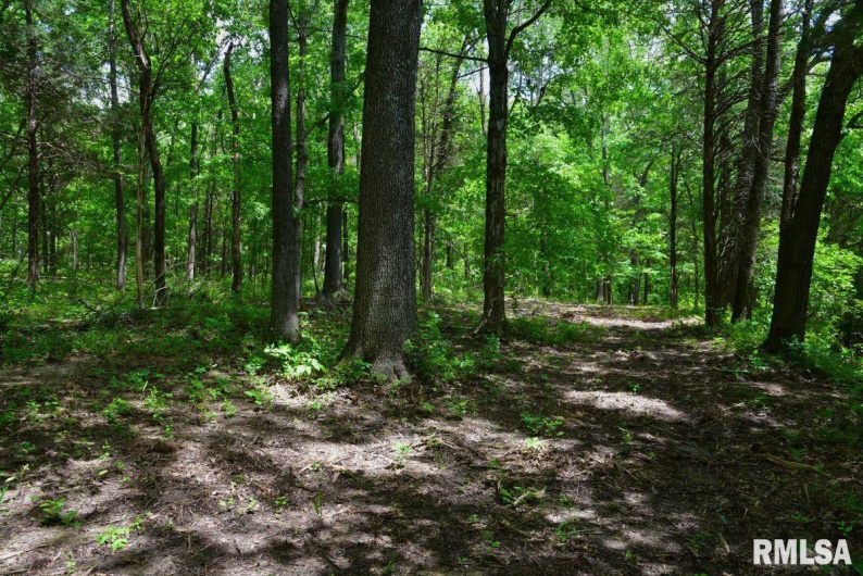 001 Battleford Road, Stonefort, Illinois 62987, 0 , 0 ,0,Land,For Sale,Battleford,0,RMACA1036799