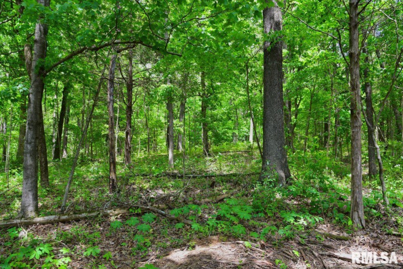 001 Battleford Road, Stonefort, Illinois 62987, 0 , 0 ,0,Land,For Sale,Battleford,0,RMACA1036799