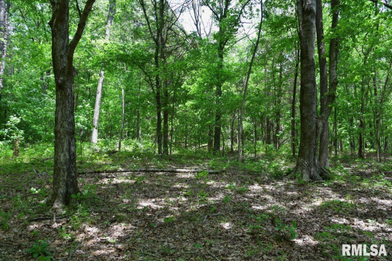 001 Battleford Road, Stonefort, Illinois 62987, 0 , 0 ,0,Land,For Sale,Battleford,0,RMACA1036799