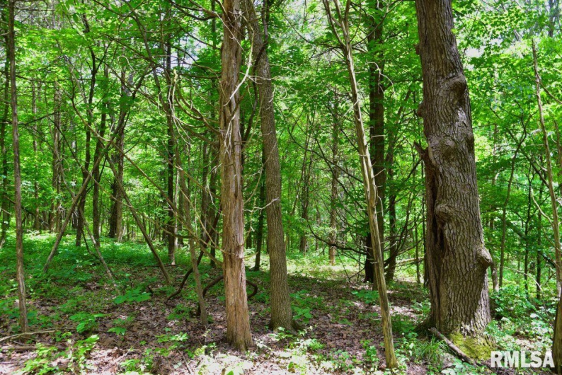 001 Battleford Road, Stonefort, Illinois 62987, 0 , 0 ,0,Land,For Sale,Battleford,0,RMACA1036799