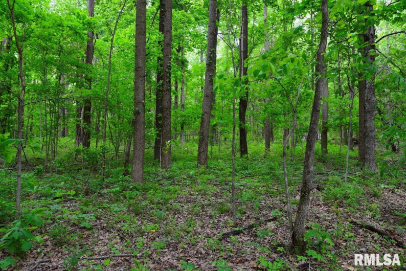 002 Battleford Road, Stonefort, Illinois 62987, 0 , 0 ,0,Land,For Sale,Battleford,0,RMACA1036800