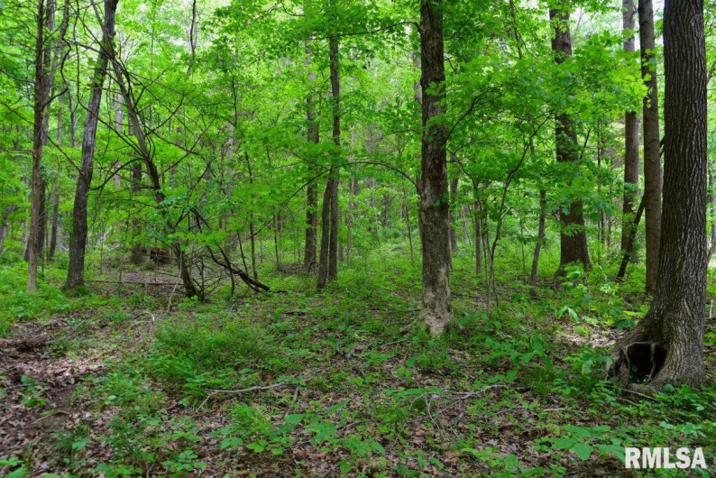 002 Battleford Road, Stonefort, Illinois 62987, 0 , 0 ,0,Land,For Sale,Battleford,0,RMACA1036800