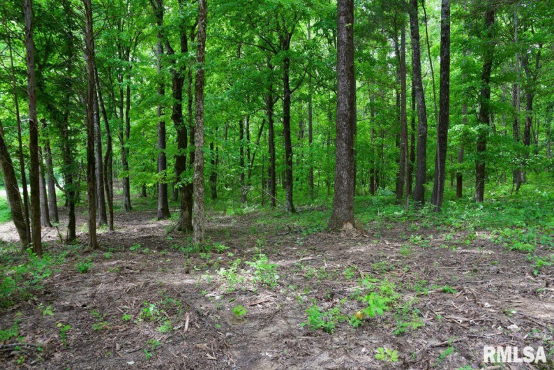 002 Battleford Road, Stonefort, Illinois 62987, 0 , 0 ,0,Land,For Sale,Battleford,0,RMACA1036800