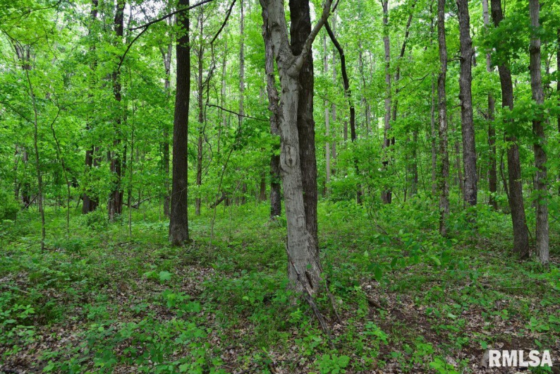 002 Battleford Road, Stonefort, Illinois 62987, 0 , 0 ,0,Land,For Sale,Battleford,0,RMACA1036800