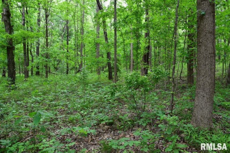 002 Battleford Road, Stonefort, Illinois 62987, 0 , 0 ,0,Land,For Sale,Battleford,0,RMACA1036800