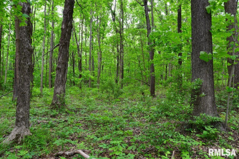 002 Battleford Road, Stonefort, Illinois 62987, 0 , 0 ,0,Land,For Sale,Battleford,0,RMACA1036800