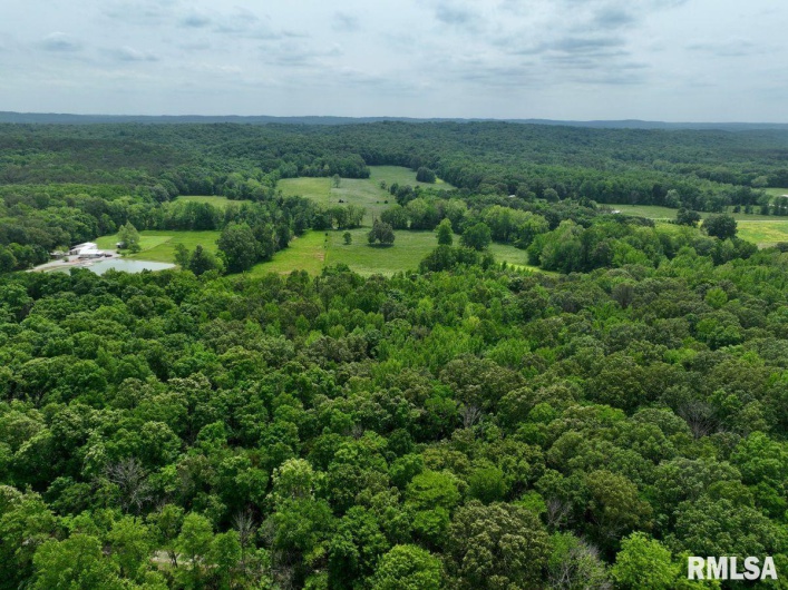 002 Battleford Road, Stonefort, Illinois 62987, 0 , 0 ,0,Land,For Sale,Battleford,0,RMACA1036800
