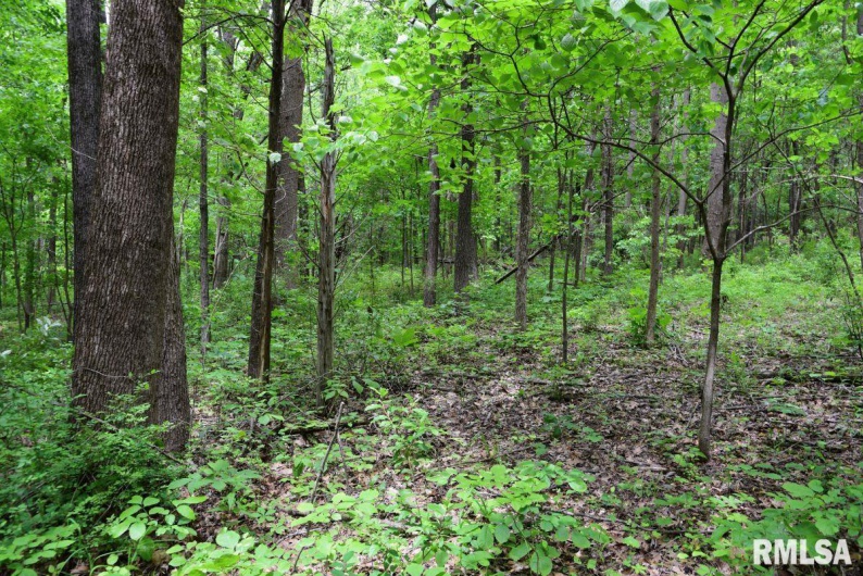 002 Battleford Road, Stonefort, Illinois 62987, 0 , 0 ,0,Land,For Sale,Battleford,0,RMACA1036800