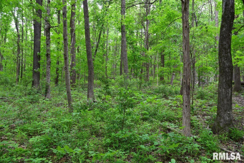 002 Battleford Road, Stonefort, Illinois 62987, 0 , 0 ,0,Land,For Sale,Battleford,0,RMACA1036800