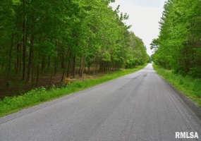 002 Battleford Road, Stonefort, Illinois 62987, ,Land,For Sale,Battleford,RMACA1036800