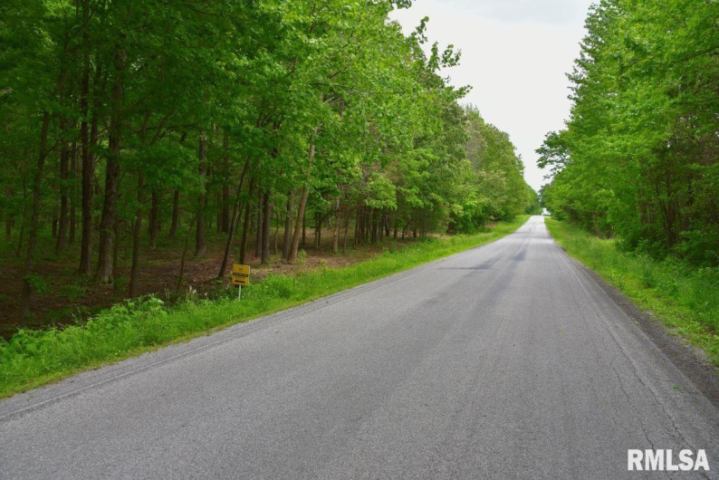 002 Battleford Road, Stonefort, Illinois 62987, 0 , 0 ,0,Land,For Sale,Battleford,0,RMACA1036800