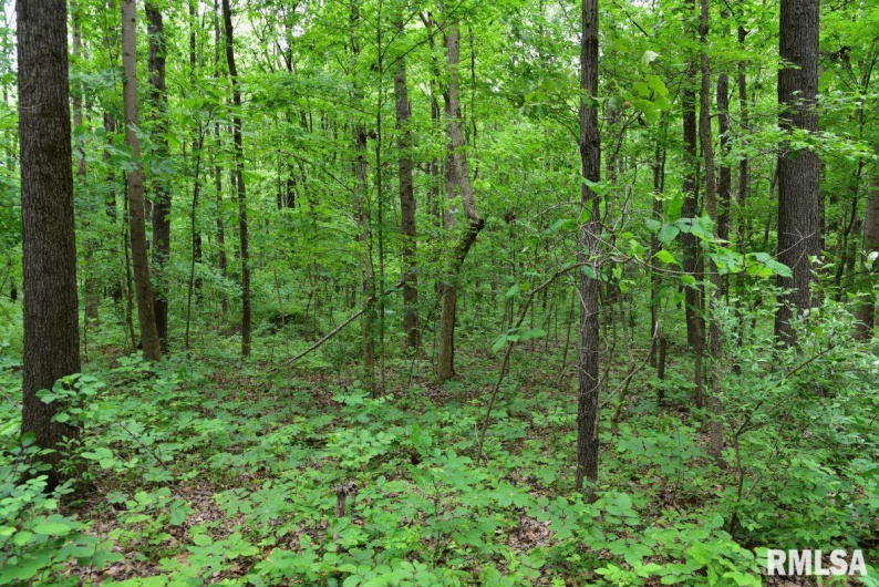 002 Battleford Road, Stonefort, Illinois 62987, 0 , 0 ,0,Land,For Sale,Battleford,0,RMACA1036800